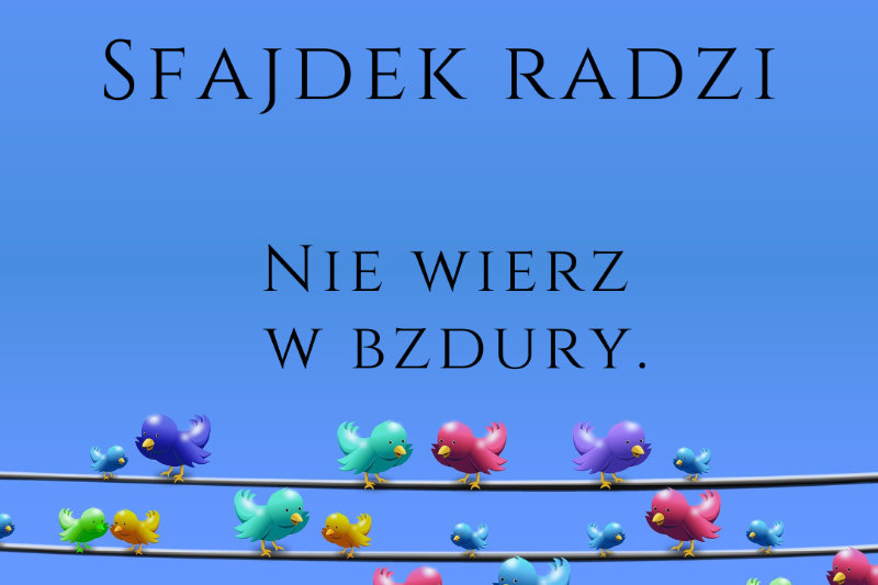 Slajd 1