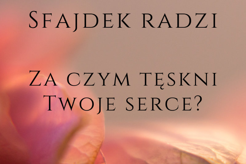 Sfajdek radzi